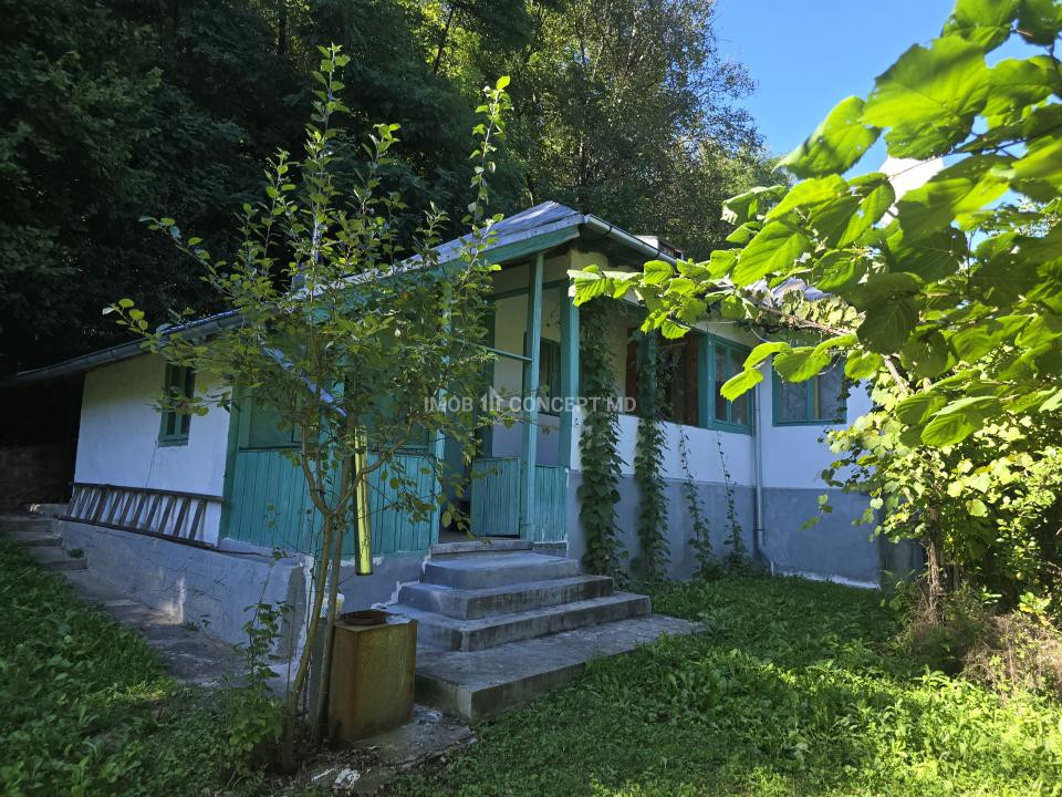 Vanzare Casuta pitoreasca la padure, teren 3159mp, in Gogeasca