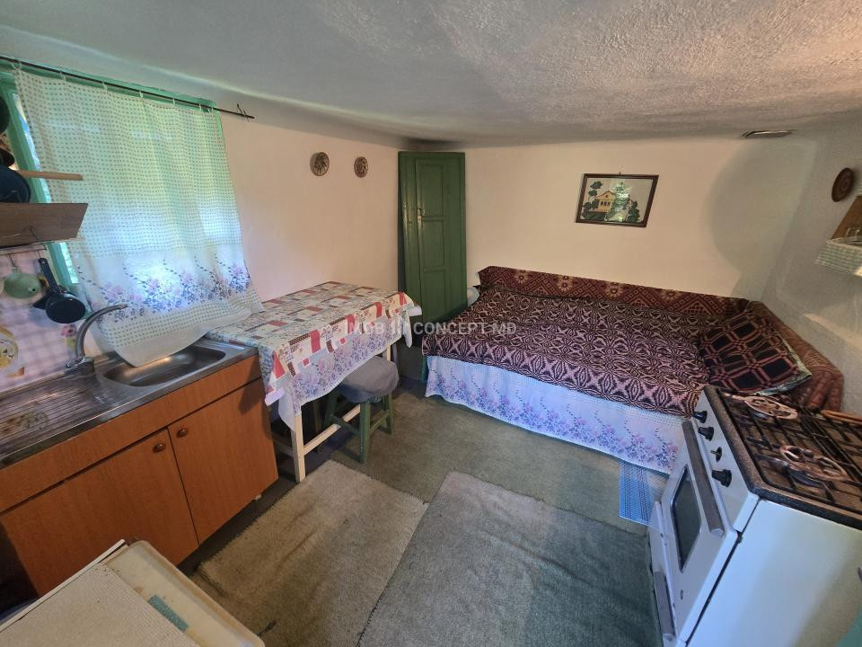Vanzare Casuta pitoreasca la padure, teren 3159mp, in Gogeasca
