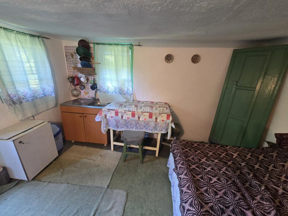 Vanzare Casuta pitoreasca la padure, teren 3159mp, in Gogeasca
