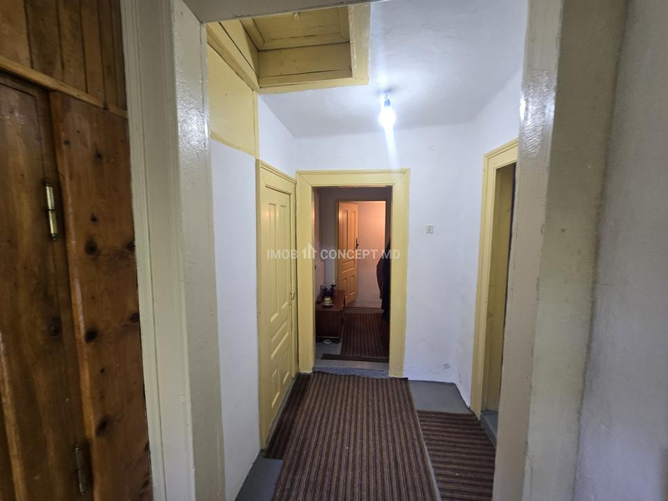 Vanzare Casuta pitoreasca la padure, teren 3159mp, in Gogeasca