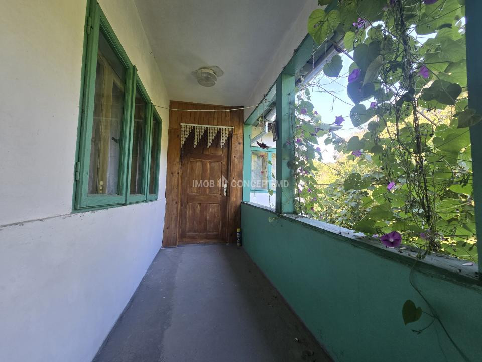 Vanzare Casuta pitoreasca la padure, teren 3159mp, in Gogeasca
