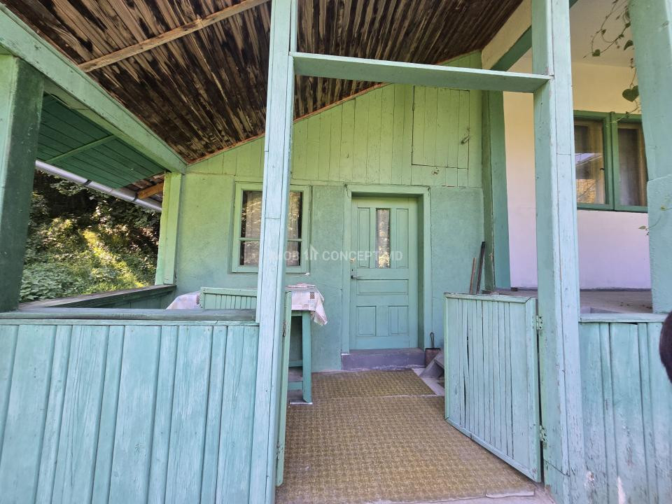 Vanzare Casuta pitoreasca la padure, teren 3159mp, in Gogeasca