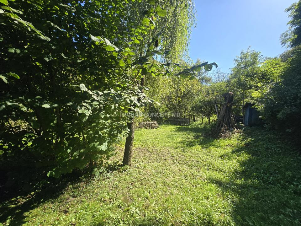 Vanzare Casuta pitoreasca la padure, teren 3159mp, in Gogeasca