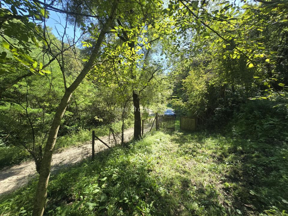 Vanzare Casuta pitoreasca la padure, teren 3159mp, in Gogeasca
