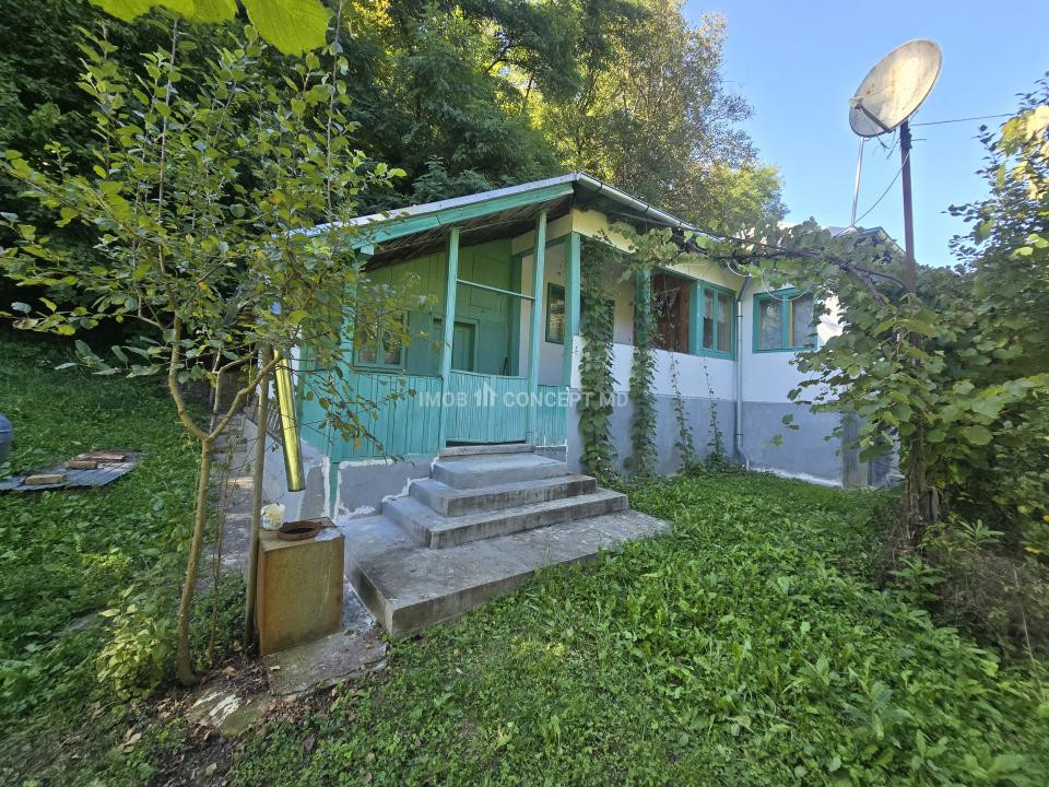 Vanzare Casuta pitoreasca la padure, teren 3159mp, in Gogeasca