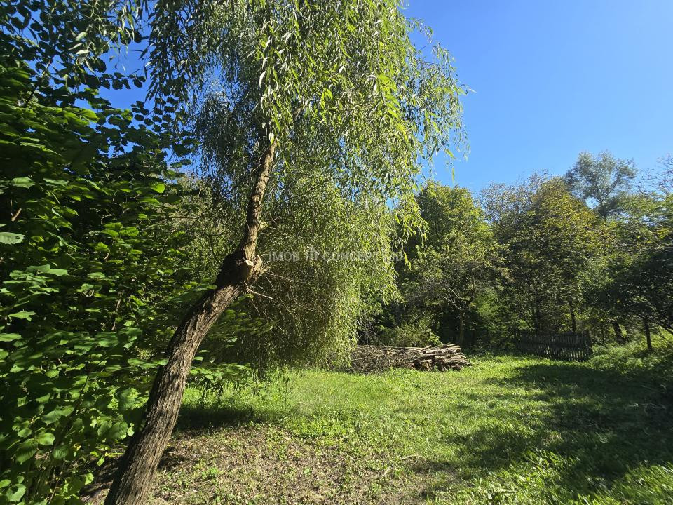 Vanzare Casuta pitoreasca la padure, teren 3159mp, in Gogeasca