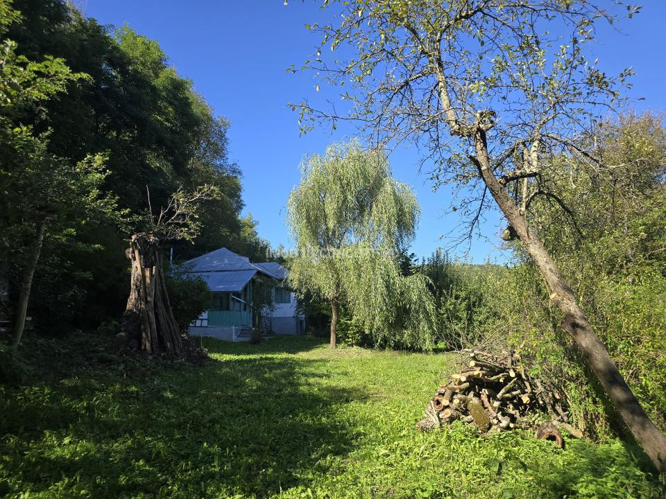 Vanzare Casuta pitoreasca la padure, teren 3159mp, in Gogeasca