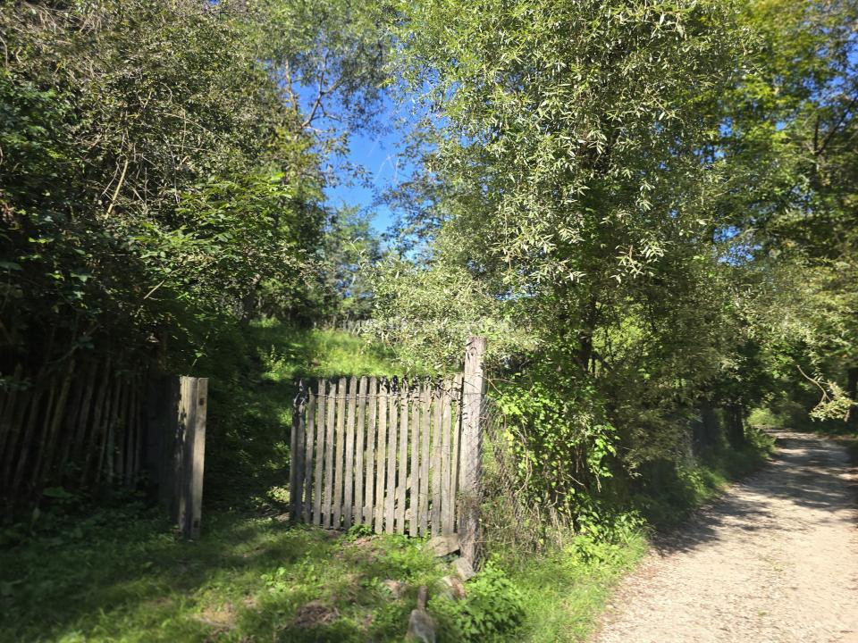 Vanzare Casuta pitoreasca la padure, teren 3159mp, in Gogeasca