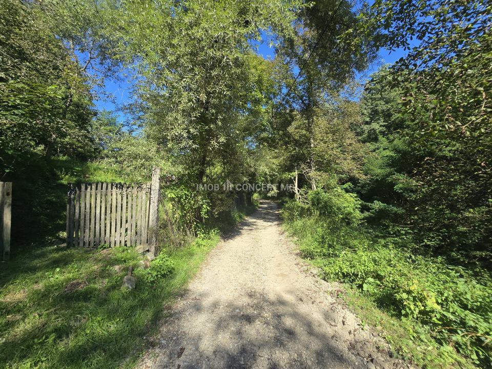 Vanzare Casuta pitoreasca la padure, teren 3159mp, in Gogeasca