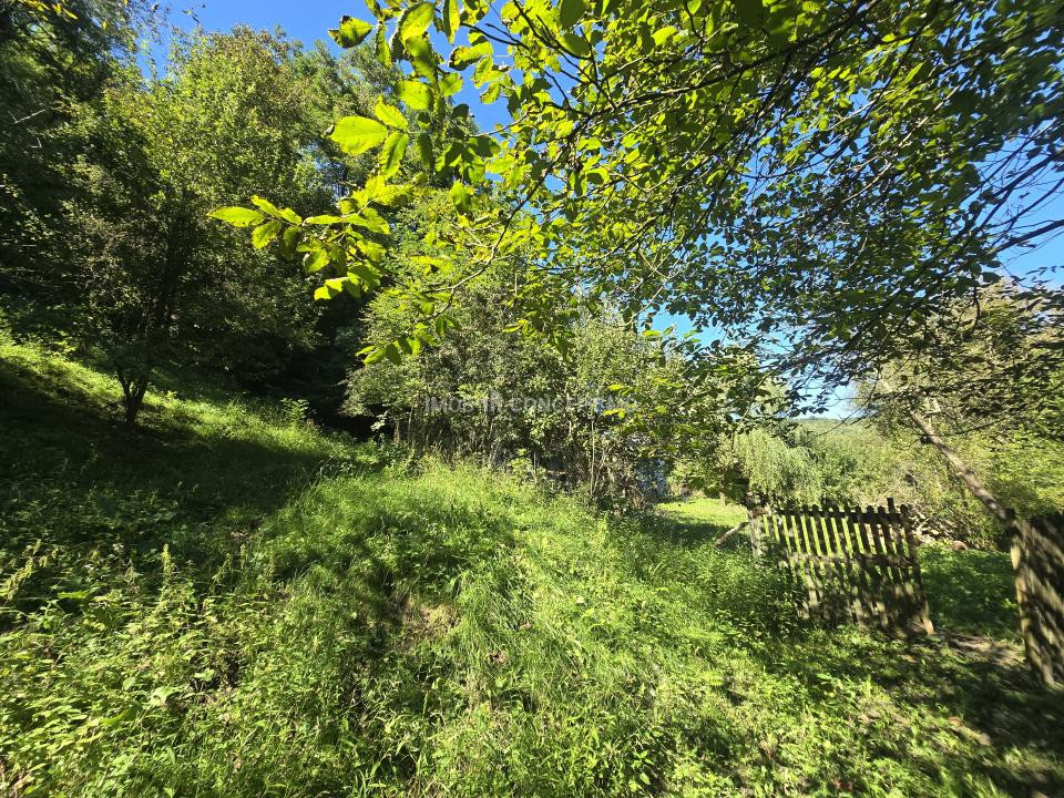 Vanzare Casuta pitoreasca la padure, teren 3159mp, in Gogeasca