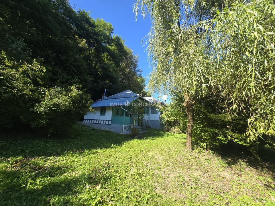 Vanzare Casuta pitoreasca la padure, teren 3159mp, in Gogeasca