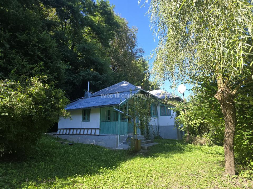 Vanzare Casuta pitoreasca la padure, teren 3159mp, in Gogeasca